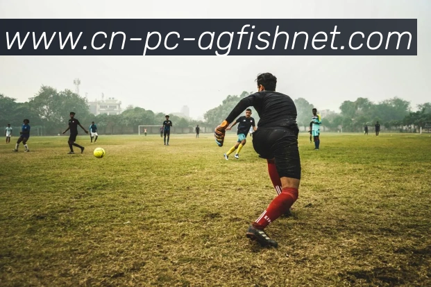 AG捕鱼王官网全站App